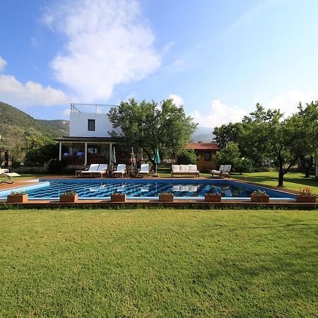 Bal Badem Bungalow Datça Dış mekan fotoğraf