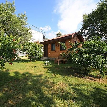 Bal Badem Bungalow Datça Dış mekan fotoğraf