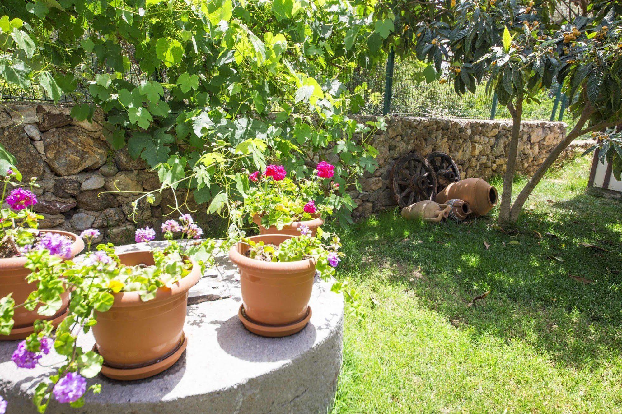 Bal Badem Bungalow Datça Dış mekan fotoğraf