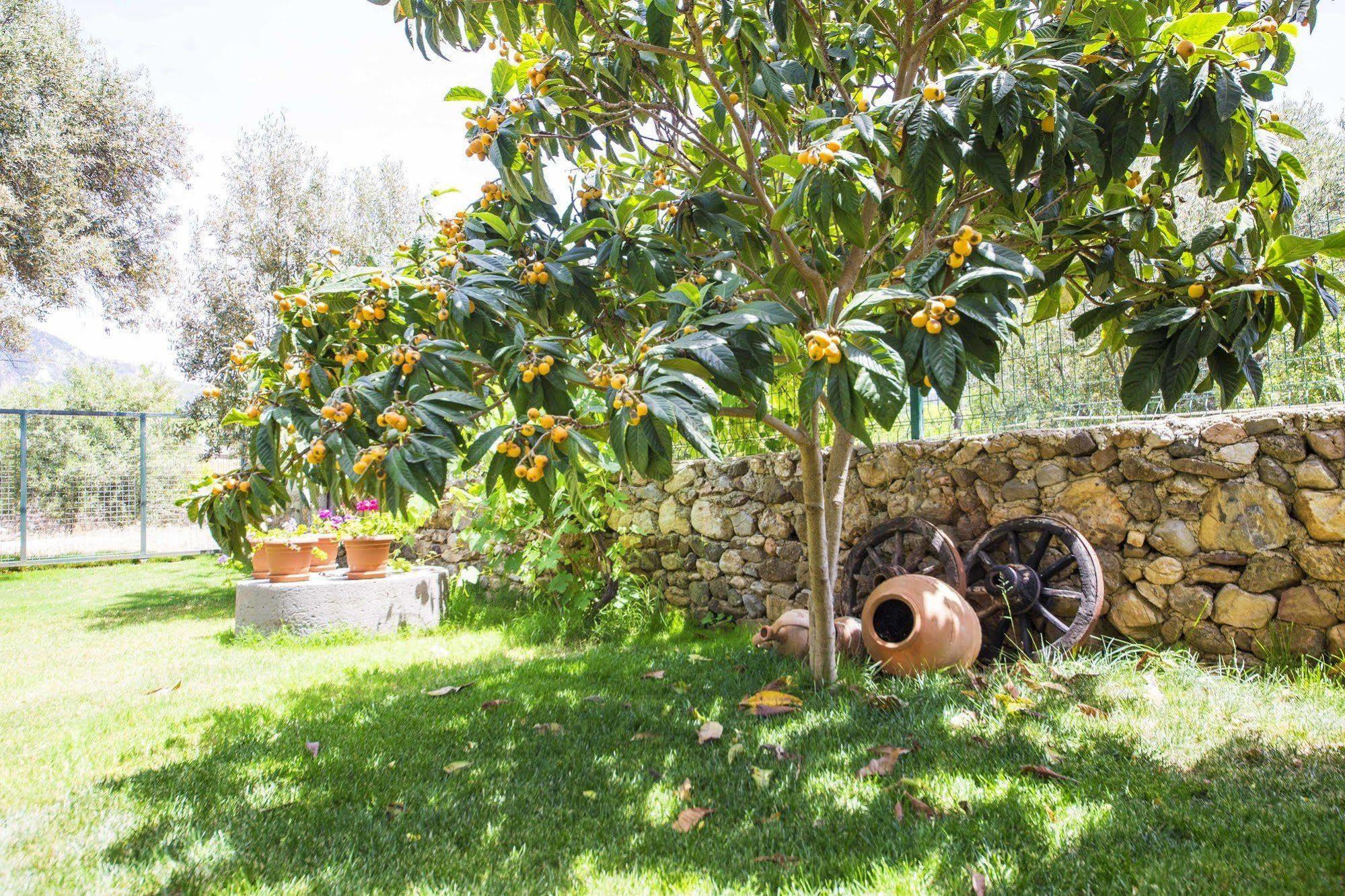 Bal Badem Bungalow Datça Dış mekan fotoğraf